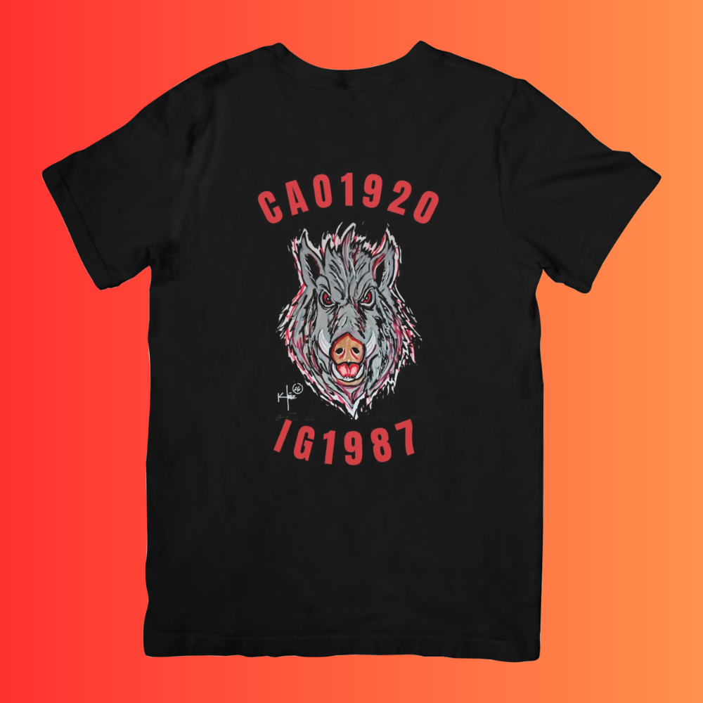 CAMISETA DISEÑO DE AUTOR!